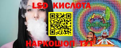 гашик Камышлов