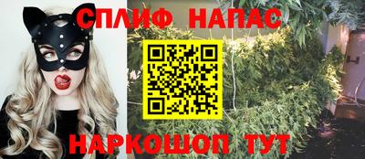 гашик Камышлов