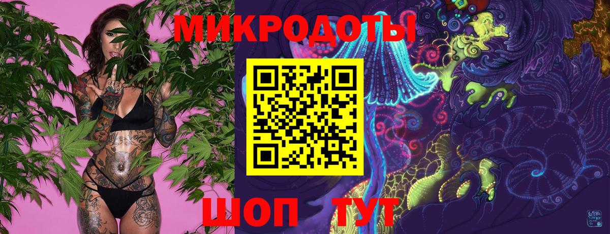 Псилоцибиновые грибы Cubensis Гусиноозёрск