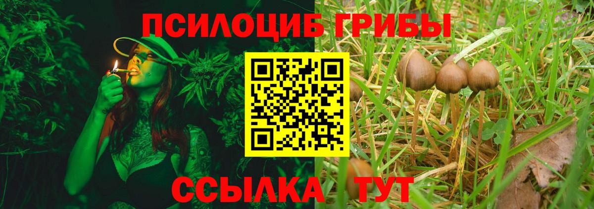 Галлюциногенные грибы MAGIC MUSHROOMS  Вход с VPN  Гусиноозёрск 